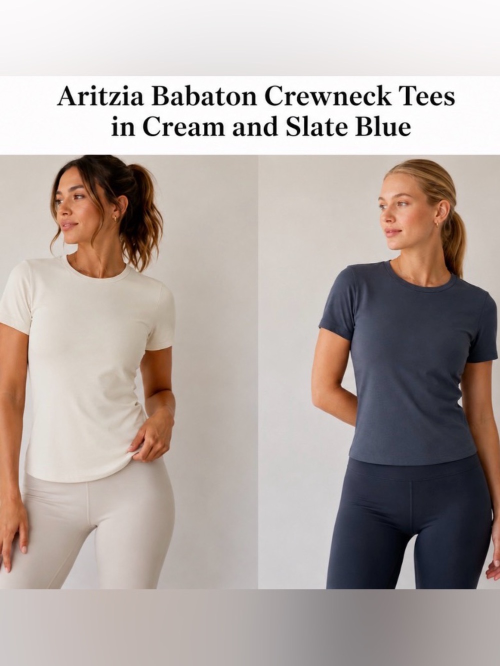 Aritzia Babaton Crewneck Tees in Cream and Slate Blue